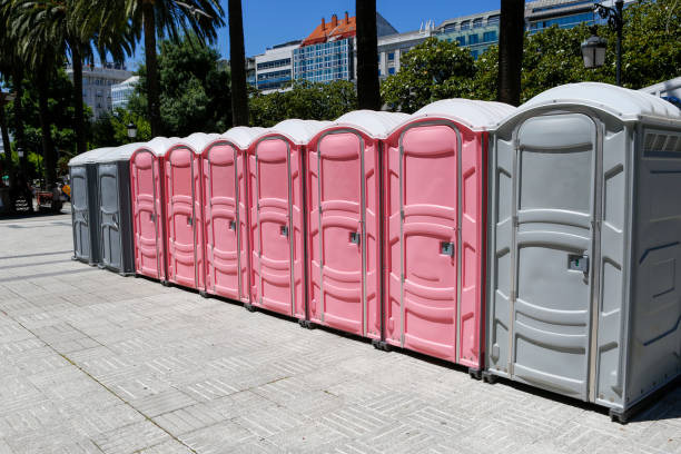 Types of Portable Toilets We Offer in Meridian Village, CO